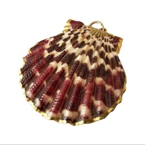 Real SEASHELL, pallium pectin shell + gold pendant